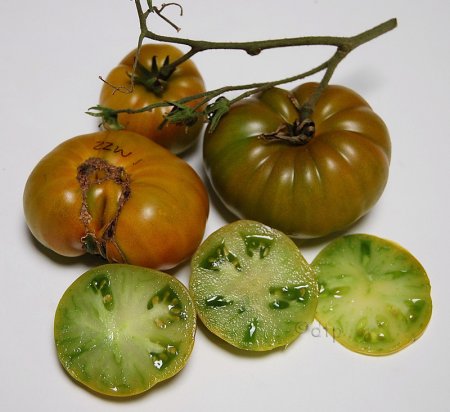 ZZW1ripe