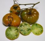 ZZW1ripe