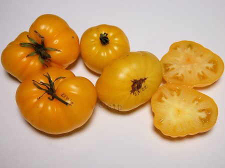 ZZW2ripe