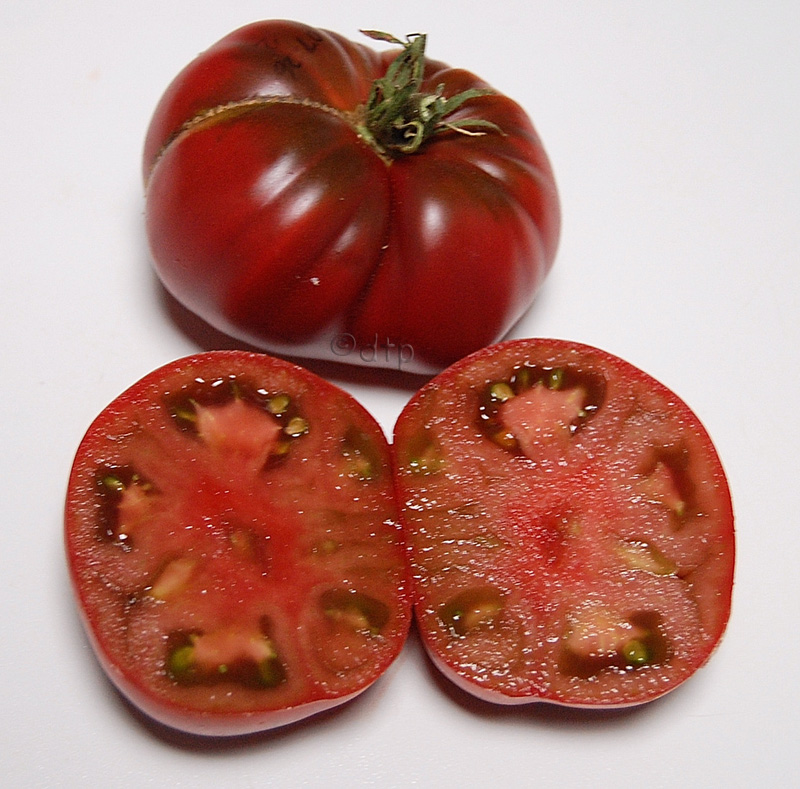 PPRosPurple07_26 F4#2