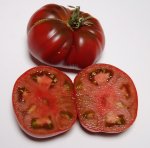 PPRosPurple07_26 F4#2