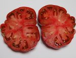 PPRosPurpleF4sliced