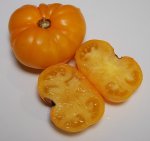PPTipsyRL2sliced