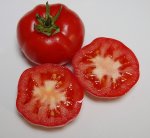 Warratah red