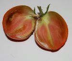 Nosey F2 sliced