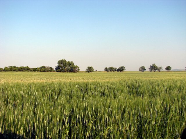 1a