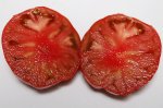 V2458RosPurp#1sliced