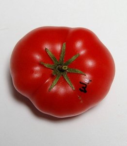 WilpenaF3_4
