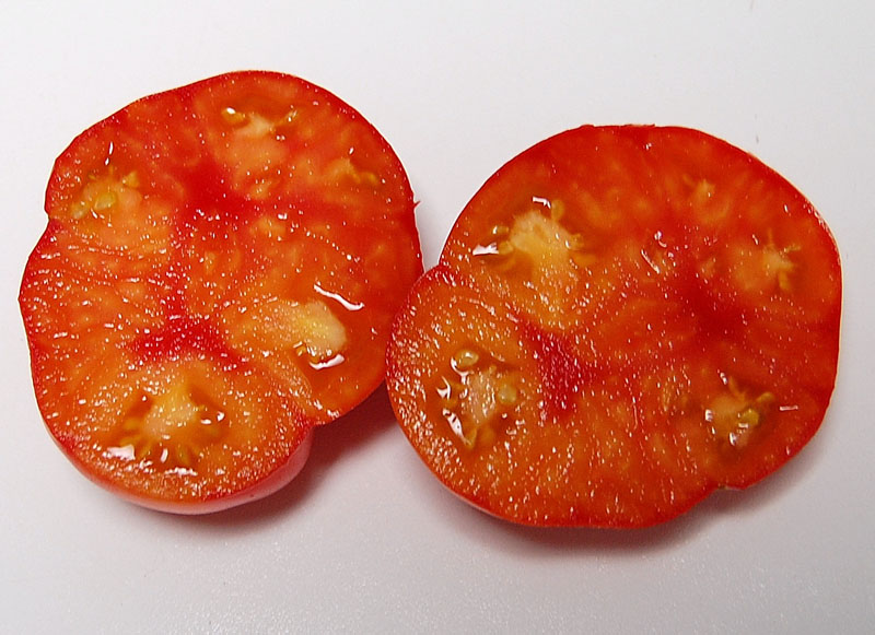 JauntyRL2sliced