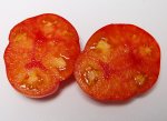JauntyRL2sliced
