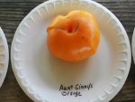 Aunt Ginny's Orange