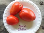 Tony's Italian