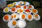 IMG_4413-yellows_oranges.jpg