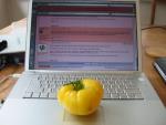 Anna Banana Russian (laptop)