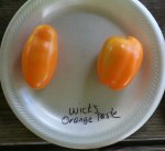 Wick's Orange Paste.jpg
