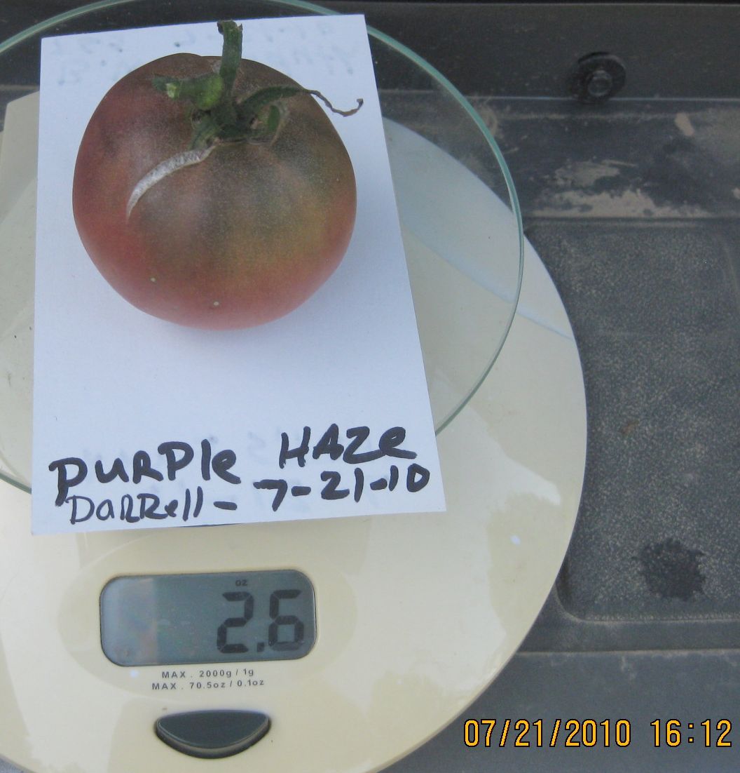 7-21-10. Purple Haze5.