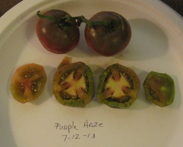 7-12-10. Purple Haze1.