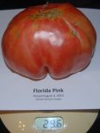 8-4-10. Florida Pink1a.