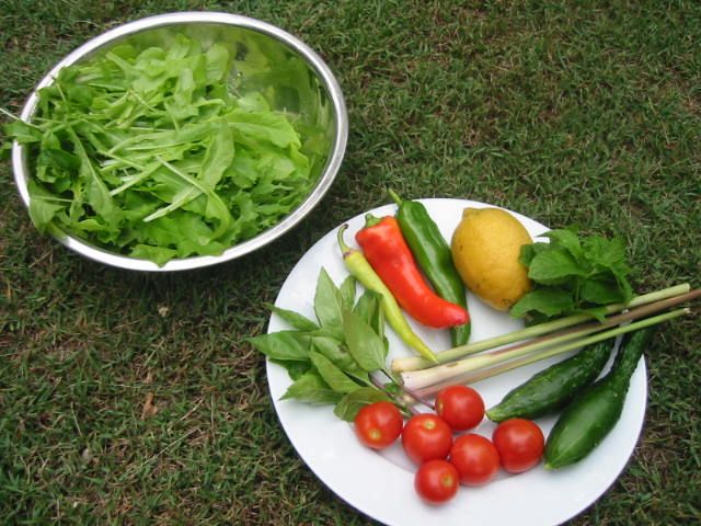 Thai Beef Salad