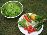 Thai Beef Salad