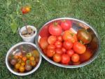 Tomato Bowl