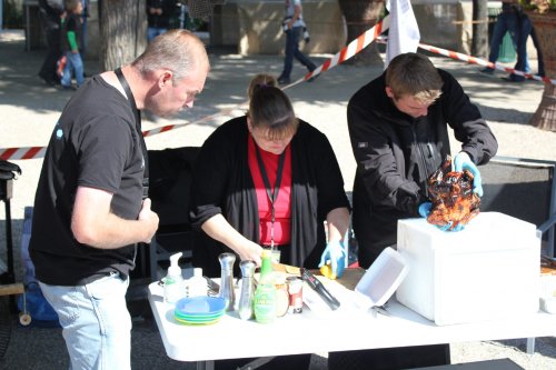 IMG_1110-team-soeborg.jpg
