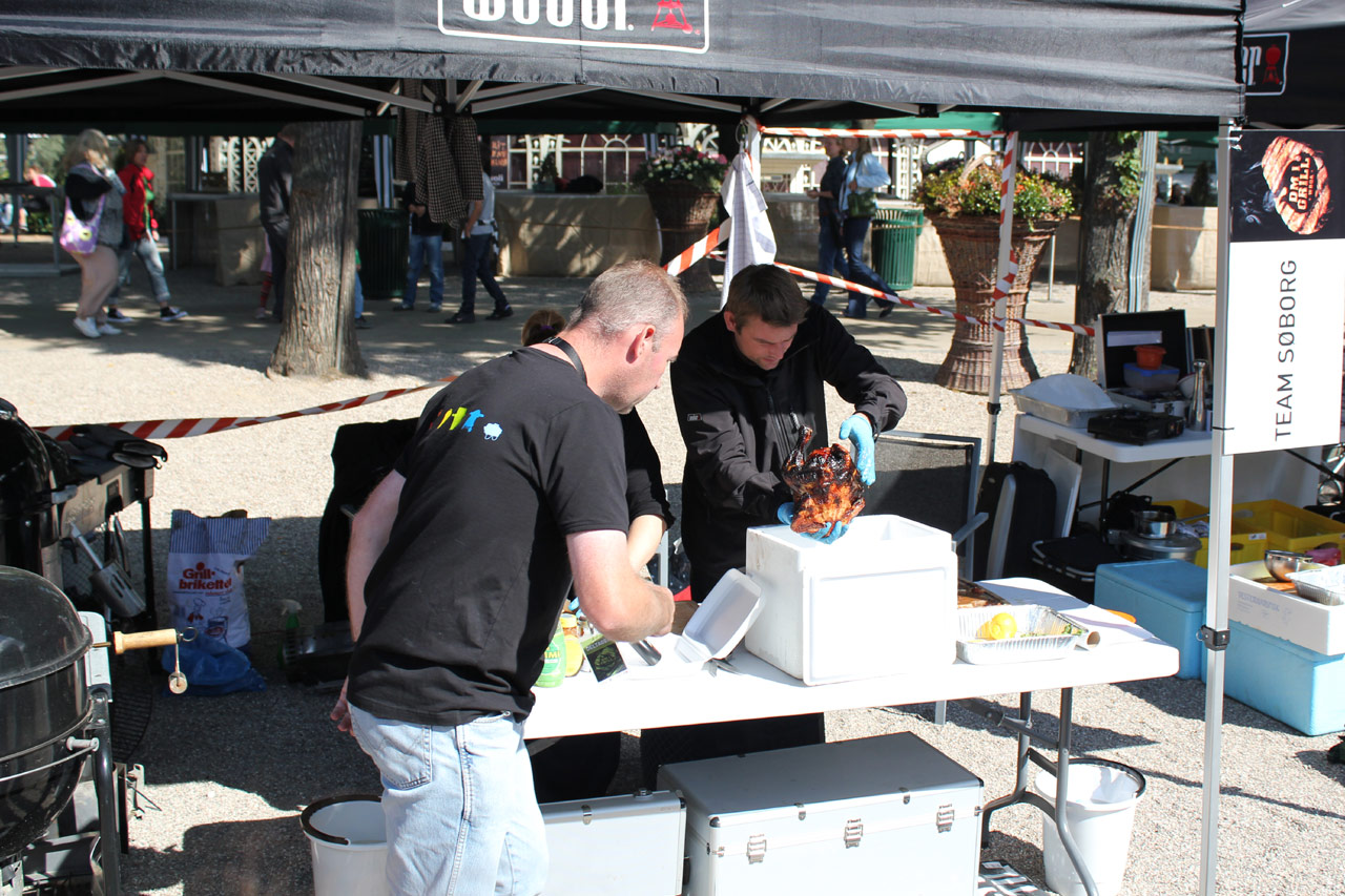 IMG_1111-team-soeborg.jpg