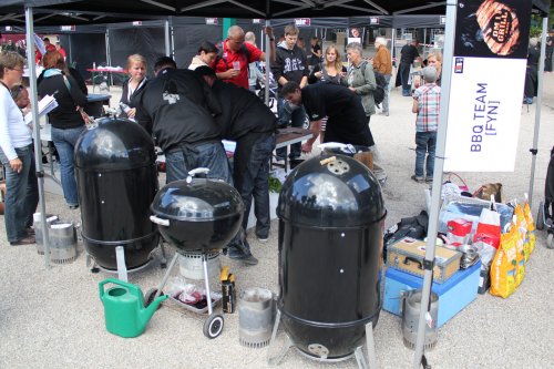IMG_1151-bbq-team-fyn.jpg