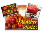 Member Photos