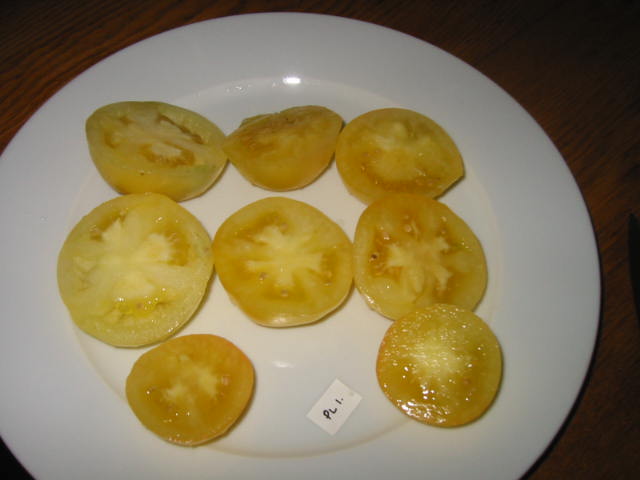 2. Sneezy PL1 SLice