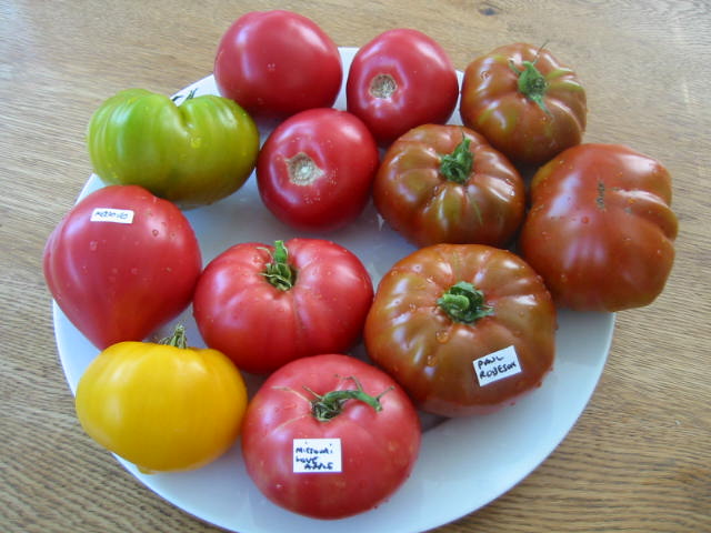 Tomato Mix