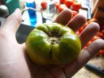 Farmer's Market Tomatoes