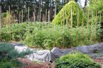 Front beds