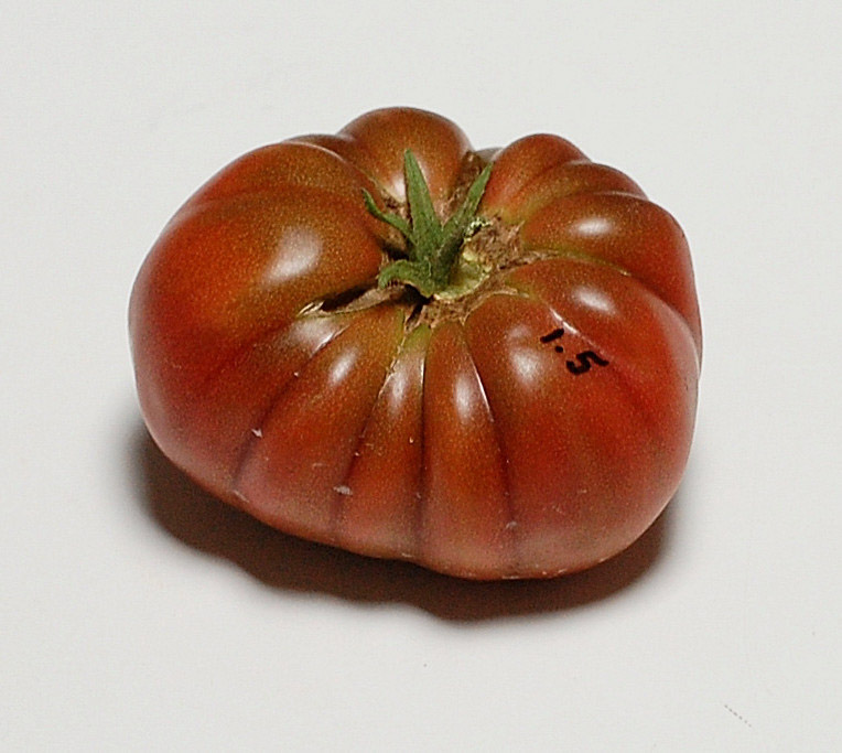 1TidyF2-5ripe