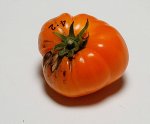 4RosyF2-2ripe