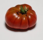 60RosellaPurpF6ripe