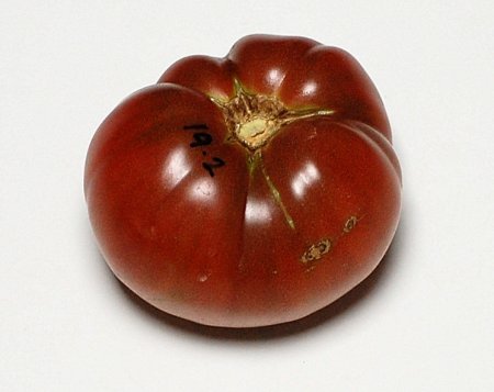 19SweetAdelaidePurpleF5-2