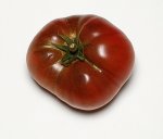 20SweetAdelaidePurpleF4-2