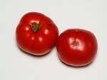 2PlentifulF2-2 Red