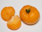 4RosyF2-4 sliced