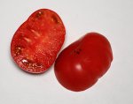 2PlentifulF2-1 sliced