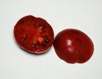 19SweetAdelaidePurpleF5-1 sliced