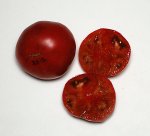 20SweetAdelaideF4-2 sliced