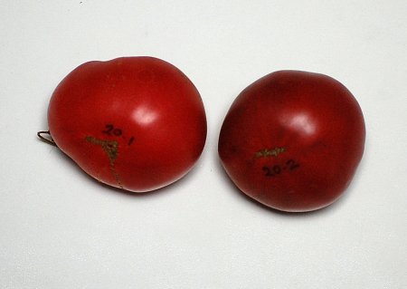 20SweetAdelaideF4-1 and F4-2