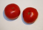 66WilpenaF4 and 64RoxbyRed F4