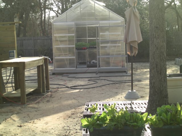 greenhouse 2011.02.22 001.JPG