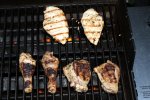 chicken20110411web_IMG_3003.jpg