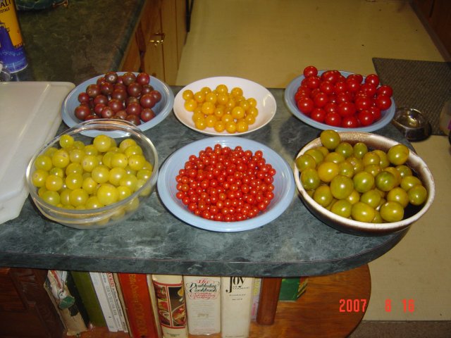 cherries 6