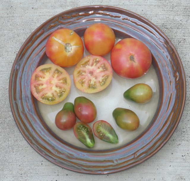 PH Mystery Bicolor Saladette and Tricolor Pear.jpg