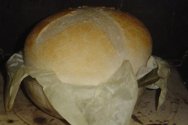 bread machine sourdough sandwich bread 6-23-11